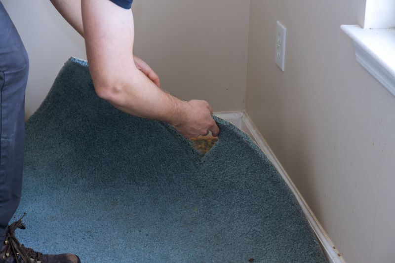 Basement Carpet Stretching in Freehold, NJ