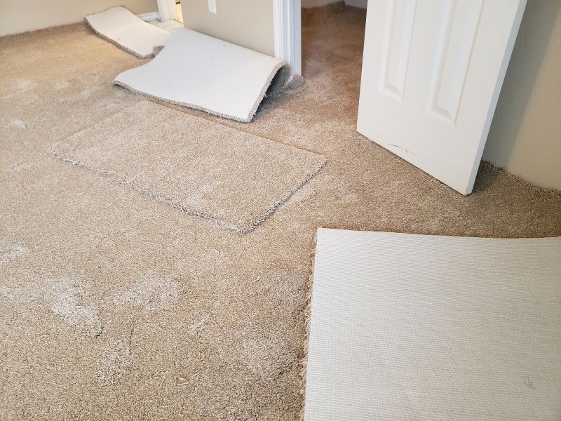 Basement Carpet Stretching in Old Bridge, NJ
