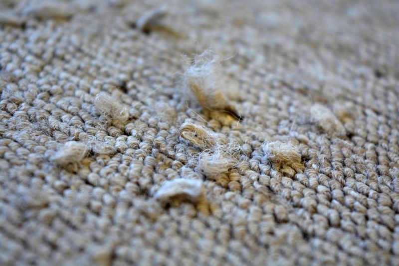 Carpet Foam Replacement in Olathe, KS