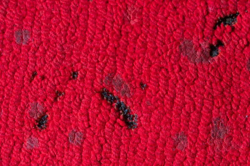 Pet Stain Carpet Repair in Kansas City, KS