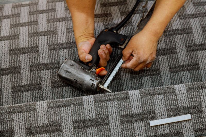 Pet Stain Carpet Repair in Overland Park, KS