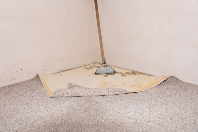 Residential Carpet Repair in Overland Park, KS